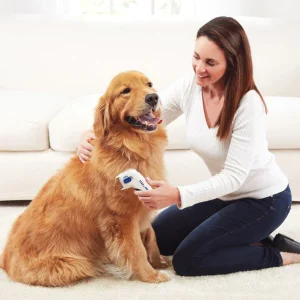 FleaFade - Ultieme Vlooienbestrijding Honden