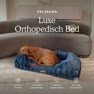 Luxe Orthopedisch Bed