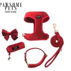 Alles-in-één Stijlvolle Hondenwandelset