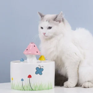 Paddestoel Waterfontein Honden Katten