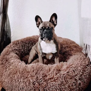 PawZen - Comfortabel Hondenbed - Ultiem Comfort