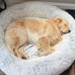 Hondenmand Fluffy Calming Bed Koffie - Zacht Anti-Angst voor Kleine & Middelgrote Honden
