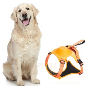 WalkLine - Ontspan, Loop en Connect Veilig - Zwart