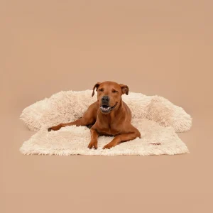 Origineel Pelsbarn Bed + gratis beige kalmerend deken