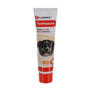 Tandpasta – Kipsmaak