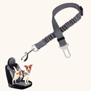 Veiligheidsgordel voor Honden met Elastische Bungee-Buffer - Discounted