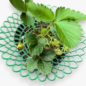 Aardbeiplant Onderhouders voor Gezonde Groei