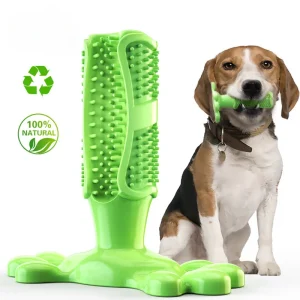 BrushPup Stralend Hondengebit in Één Speeltje - Groen