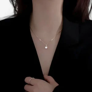 Zilvergeplateerde Halsketting met Zircon - Elegante Minimalistische Charme
