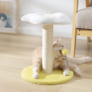 Ei Serie Kat Combo Katten