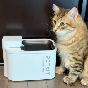 PETKIT Drinkfontein Kat Draadloos Eversweet Max 3L (incl. Batterij)