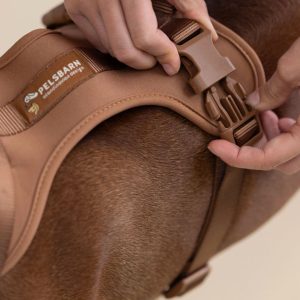 Pelsbarn harnas wandel set (inclusief riem en poepzakjes drager)